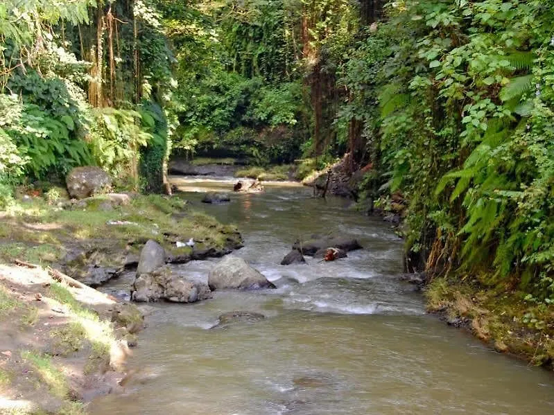 Bucu Beji Ubud